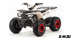 Квадроцикл MOTOLAND (МОТОЛЕНД) 125 WILD