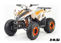Квадроцикл MOTOLAND (МОТОЛЕНД) 125 COYOTE