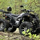Квадроцикл PROMAX 320 DOMINATOR