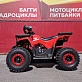 Квадроцикл PROMAX WILD 175 BASIC