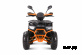 Квадроцикл YACOTA SIRIUS 2000W