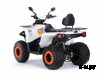 Квадроцикл MOTAX ATV Grizlik 200 Ultra