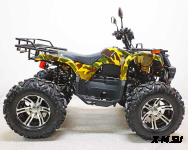 Квадроцикл GreenCamel Сахара A3000 (72V 3000W R12 alum Дифференциал)