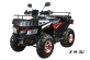 Квадроцикл YACOTA CABO 200LD