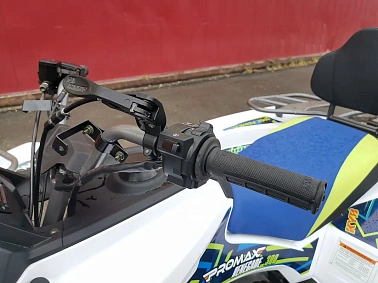 Квадроцикл PROMAX RENEGADE 300