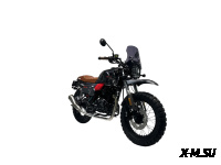 Мотоцикл TMBK FAHRENHEIT 250 (172 FMM)