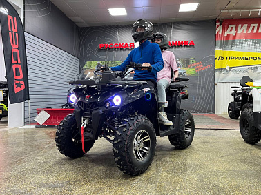 Квадроцикл PROMAX RENEGADE 300 LONG WINCH PRO