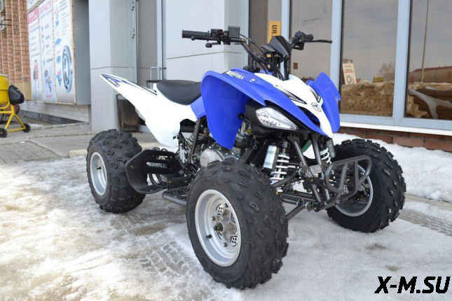 Квадроцикл MOTOLAND (МОТОЛЕНД) 250S