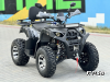 Квадроцикл PROMAX ATV 250 MAX (2025)