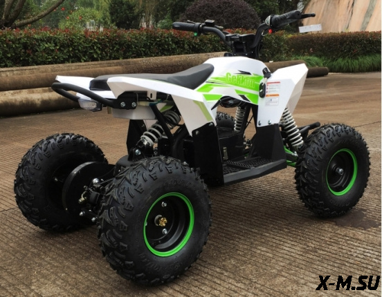 Детский электро квадроцикл MOTAX GEKKON 1300W
