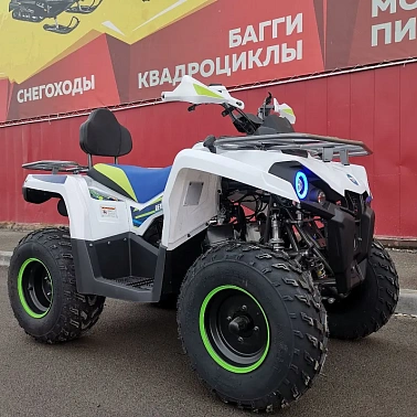 Квадроцикл PROMAX RENEGADE 300 LUX