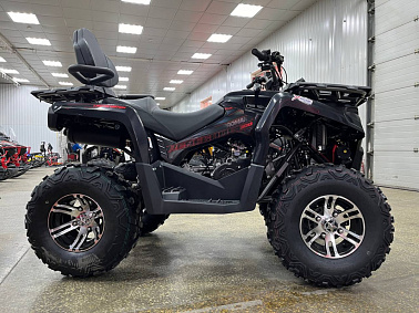 Квадроцикл PROMAX RENEGADE 300 LONG WINCH PRO