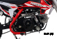 Питбайк Progasi KIDS POWER 110 (10/10)