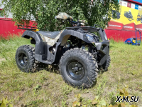 Квадроцикл PROMAX ATV 250 (2025)