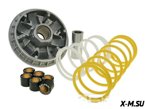 Вариатор в сборе Foresight Multivar MALOSSI 5111226