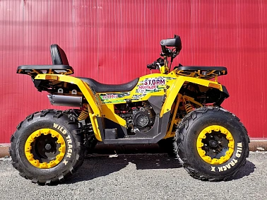 Квадроцикл PROMAX STORM 280 LUX